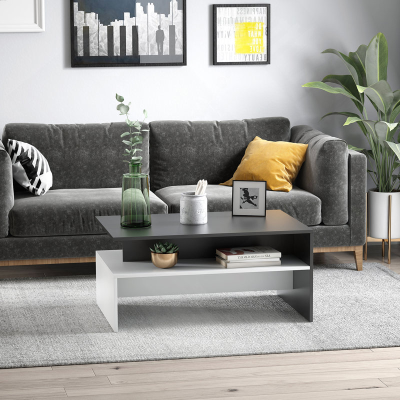 Modern Coffee Table,  2-tier Rectangular Center Table with Storage