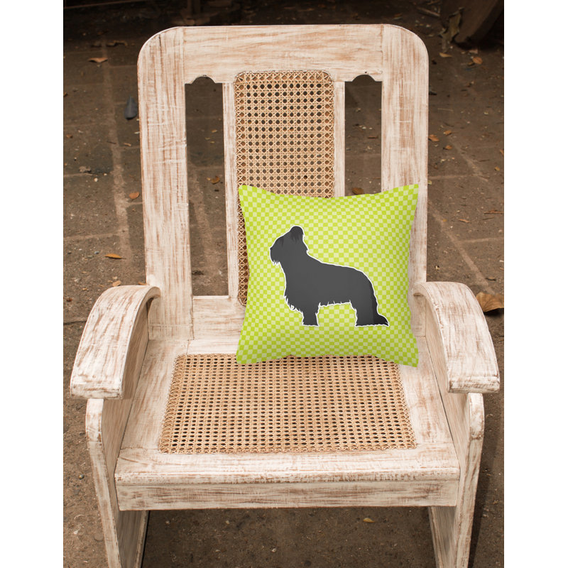 Coussin décoratif intérieur/extérieur brie, H 18 po x l 18 po x P 3 po, Vert