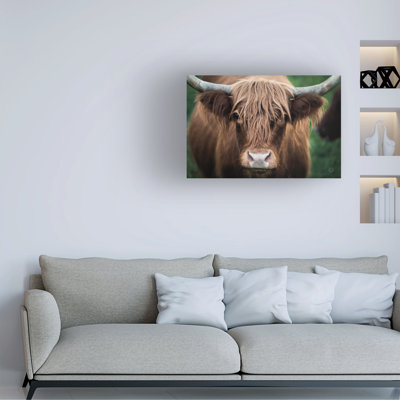 Cow Nose by Nathan Larson - Wrapped Canvas Print -  Union Rustic, B0A9B6A1DE17424E8428182FB0AEE359