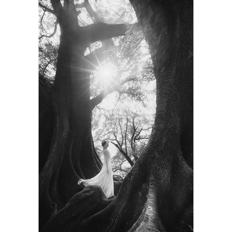 Wrapped Canvas Print, 50.8 cm H x 76.2 cm W