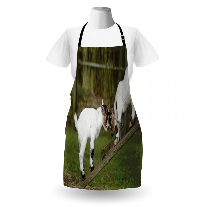 Bib Apron