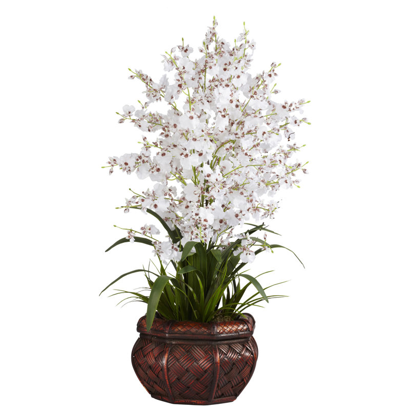 Arrangement floral orchidée danseuse en pot, Blanc