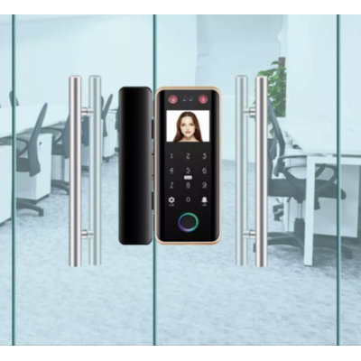 Smart Glass Door Lock