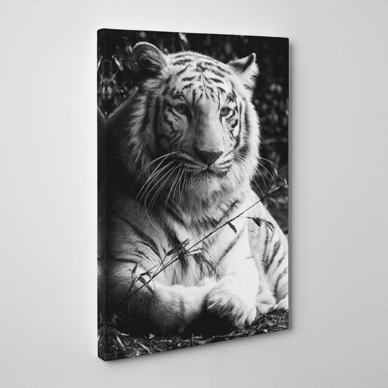 Wrapped Canvas Print, 50cm H x 35cm W