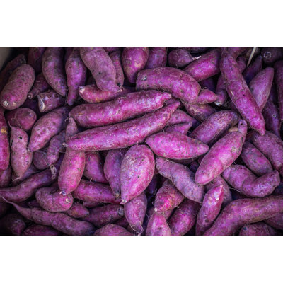 Mauve patate douce