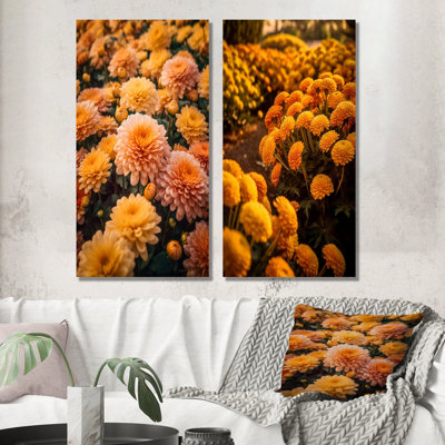 Yellow Chrysanthemums Field At Sunrise - Chrysanthemums Wall Decor Set Of 2