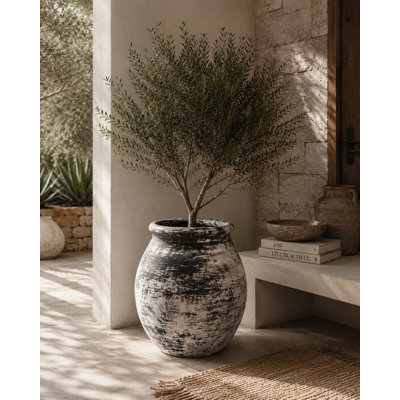 Chiapas 32" Clay Planter