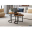 Goja Coffee Table-1058742714
