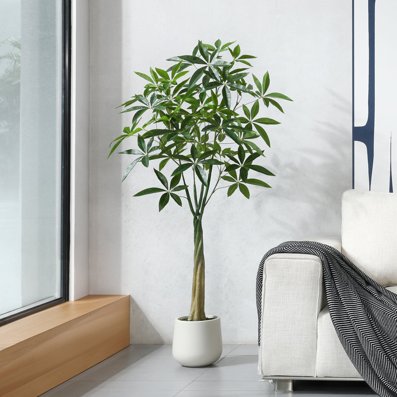 Adcock Artificial Ficus Tree with Round White Planter, Pre Potted Faux Money Tree for Home Decor, 60" H x 20" W x 20" D