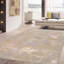 Hand Knotted Abstract Area Rug