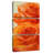 Classic Roses-1349704552