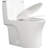 1000 Gram Map Flushing Score 1.1/1.60 One Piece Toilet, Elongated Comfort Height, Soft Closing Seat, Glossy White, Water Floor Mount White High Score, Water, Quick Installation