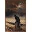 Black Cat On Fence-435893380