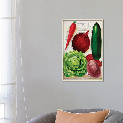 Antique Seed Packets XI - Wrapped Canvas Gallery-Wrapped Canvas Giclée