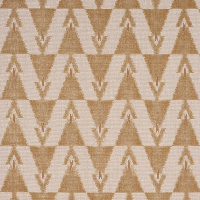 Tissu en velours Kalido Schumacher