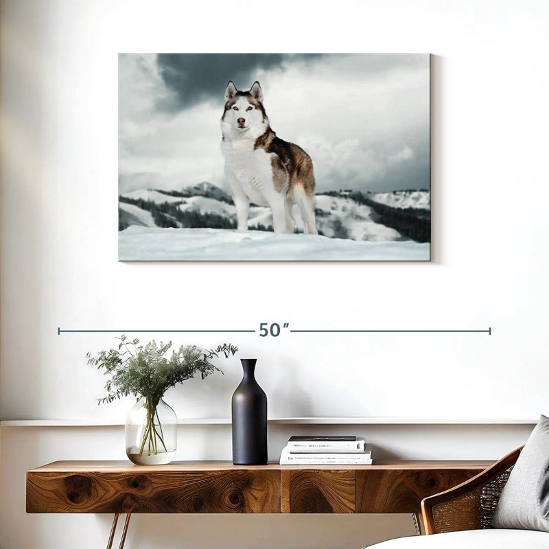 Majestic sibérien Husky, H 24 po x l 36 po