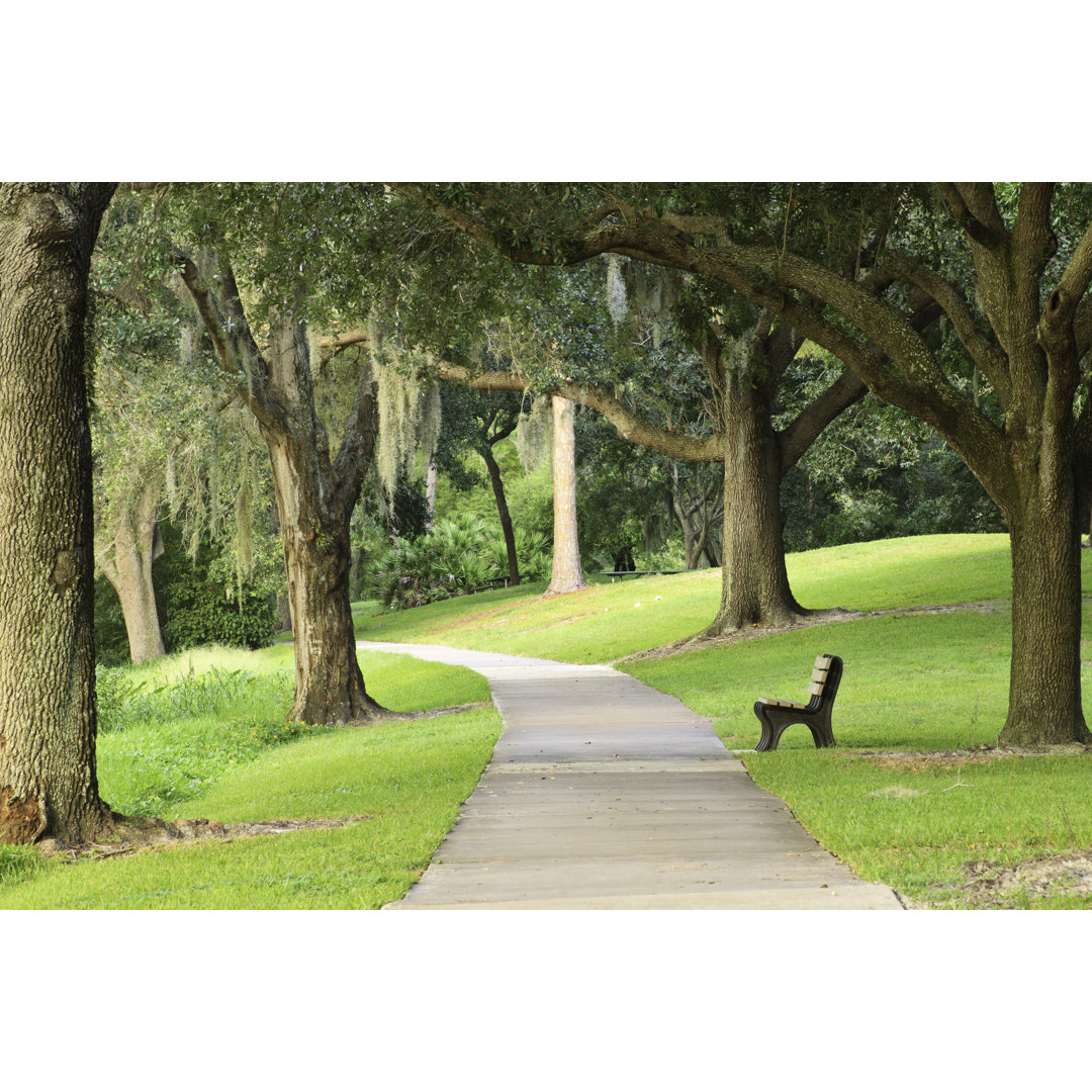 Peaceful Park Bench von JoeRosh - Kunstdrucke auf Leinwand ohne Rahmen