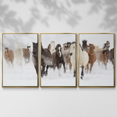 «Pasture Run», reproduction sur toile 3 pièces