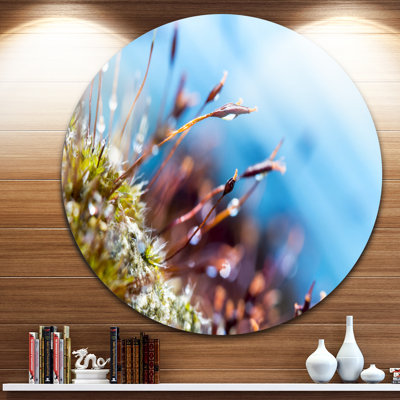 « abstract moss fleurs », impression