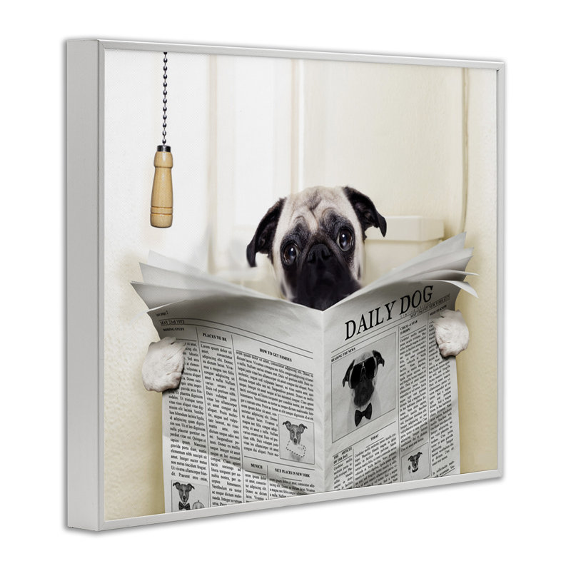 Carlin en train de lire le journal dans la salle de bain, H 11 po x l 14 po x P 1,5 po