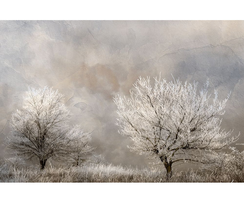 Reproduction d'affiche «Winter Frost» par Allen Kimberly (24 x 18) # Karc1870