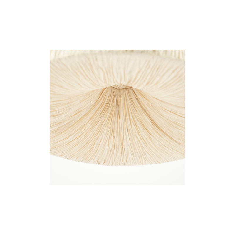 Luminaire suspendu Lokta 1