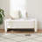 Bed Bench with Storage