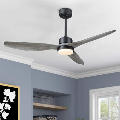 Tibuh 52'' Ceiling Fan with LED Lights