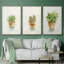 Succulent I, encadré sur toile, 3 pièces-163068313-163068310