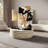 Sharelle Single Coffee Table