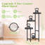 Plant Stand