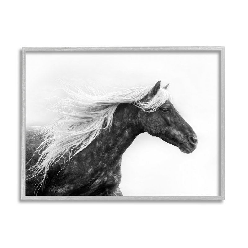 Cheval avec crinière blanche, estampe numérique encadrée par PHBurchett, Estampe numérique Farmhouse