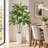 72in Artificial Dracaena Tree with White Planter