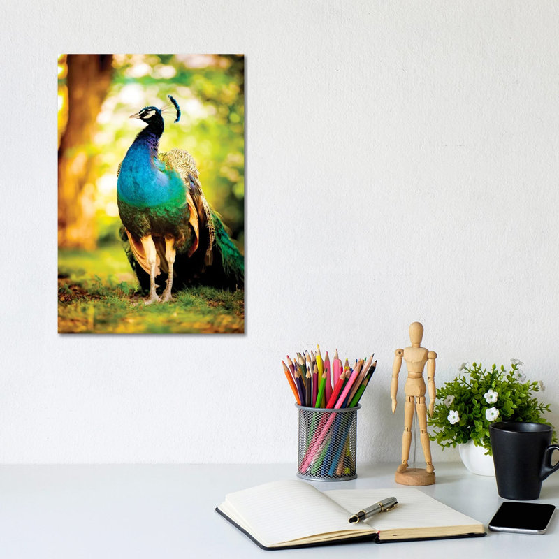 Peacock On The Sun by Nik Rave - Wrapped Canvas Gallery-Wrapped Canvas Giclée, 20.32 cm H x 30.48 cm W