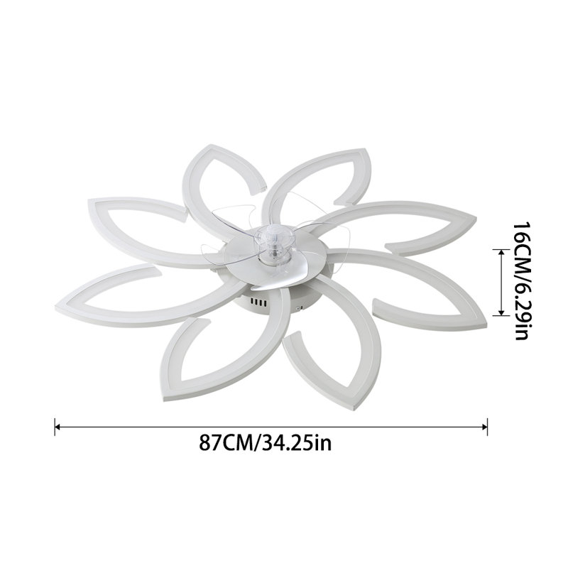 Ceiling Fan with LED Lights