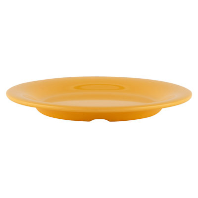  Assiette de présentation en mélamine 6,5 po, 12 pièces