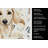 Cream Dachshund Coffee Bar Kitchen Towel-1168063417