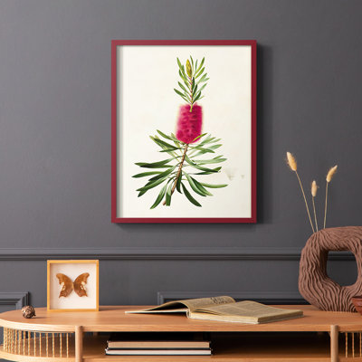 «Pretty Pink Botanicals VII», reproduction encadrée - bois massif