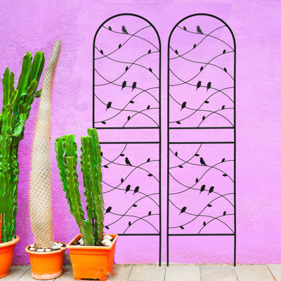 2 Pack Metal Garden Trellis