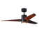 Ceiling Fan with LED Lights