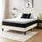 Wayfair Sleep 10" Plush Pillow Top Hybrid Mattress-66575515