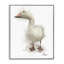 «Farm Goose», art giclée par Matthew Piotrowicz-107883271-107883275