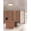 Flush Mount
