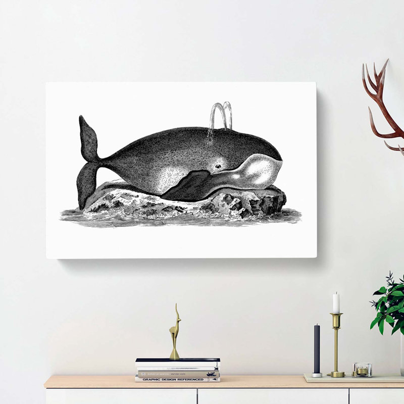Great Whale in Black and White by George Shaw - Wrapped Canvas, 50cm H x 76cm W x 3cm D