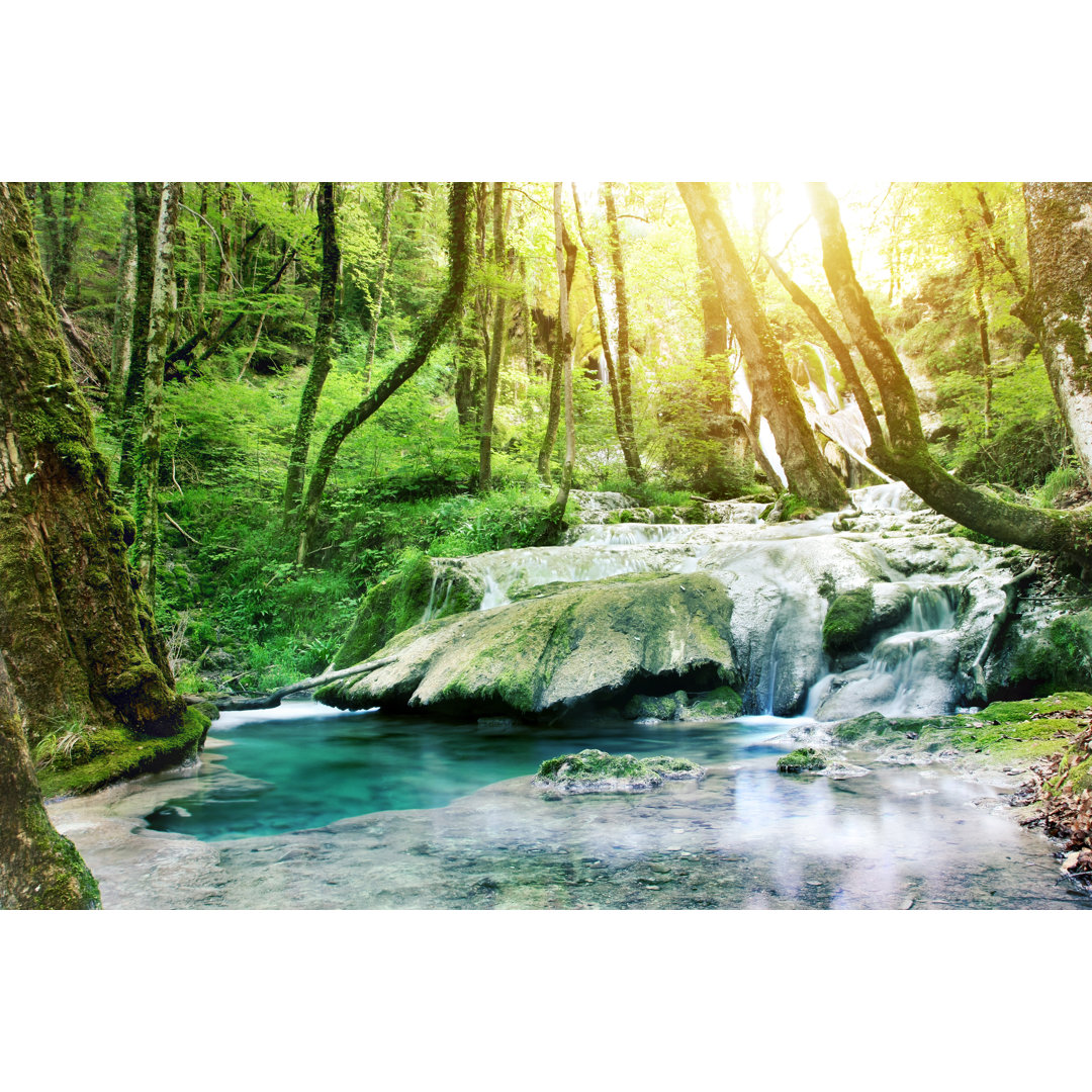 Seltsamer Wasserfall im Wald von GregoryDUBUS - Leinwandbild