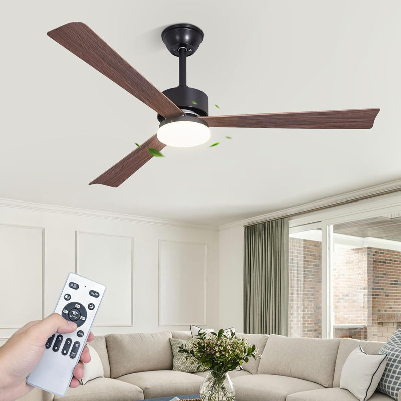 Ceiling Fan