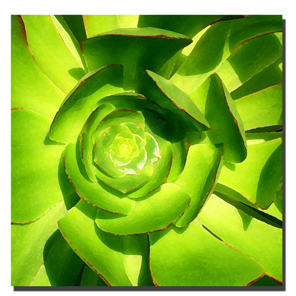 Modern & Contemporary Trademark Fine Art 