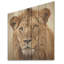 Portrait d'un lion royal doré I - animal lion sur bois-1855684467