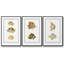 Ensemble de 3 pièces de poissons tropicaux antiques I encadrés sur toile-97759346-97759343