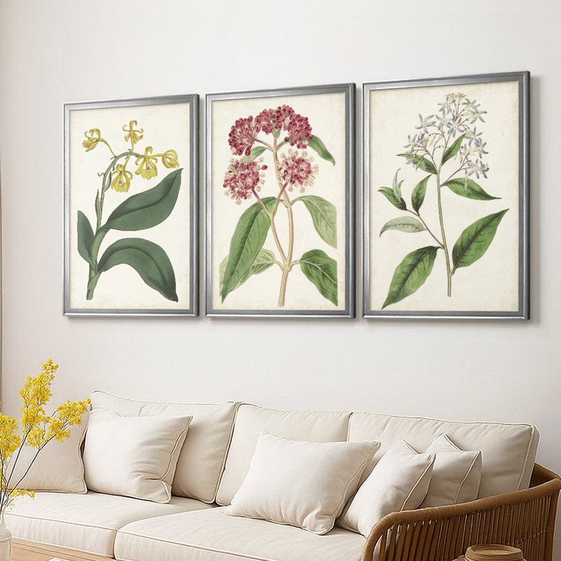 Antique Botanical Collection X - Toile tendue avec châssis sur mesure - 3 pièces